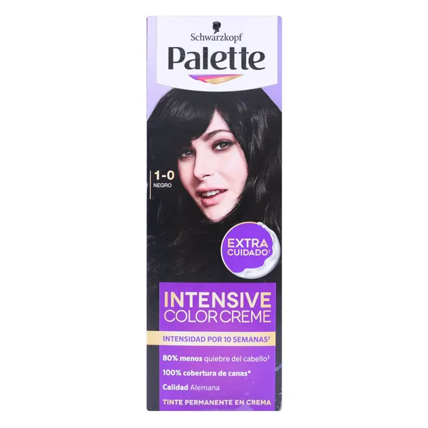 TINTE PALETTE 1-0 NEGRO